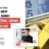 Báo cáo NFP và nhận định thị trường Vàng, cặp USDCAD (10-14/01) | PTTT XTB x Tô Triều