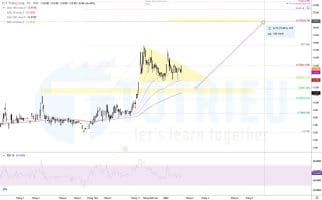 Cổ phiếu TTL năm 2022: Bullish Pennant