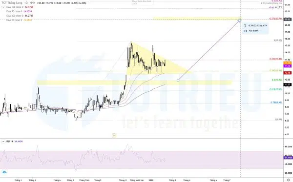 Cổ phiếu TTL năm 2022: Bullish Pennant