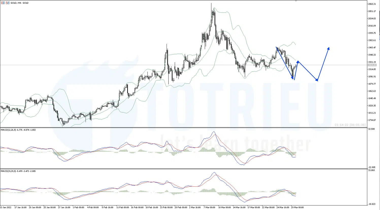 Bollinger Bands và MACD vẫn là Bear Market