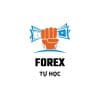 Khoá học Forex 2022 miễn phí
