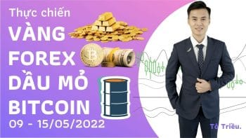 Giá Vàng tuần này - Xu hướng Forex - Giá dầu - Bitcoin tuần 19-2022 (09 - 15/05)