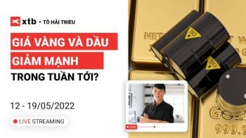 Giá Vàng và Dầu sẽ giảm mạnh trong tuần tới? (12-19/05) | Phân tích thị trường XTB x Tô Triều