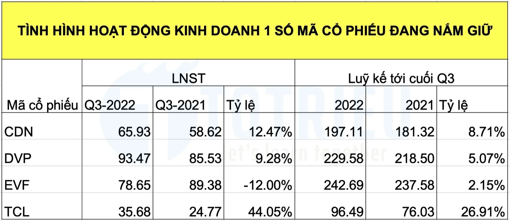 Kết quả kinh doanh và Luỹ kế 9 tháng năm 2022 DVP, TCL, CDN, EVF
