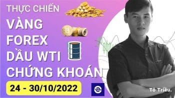 Giá Vàng tuần này - Xu hướng Forex - Giá dầu - Chứng khoán cơ sở tuần 43-2022 (24 - 30/10)