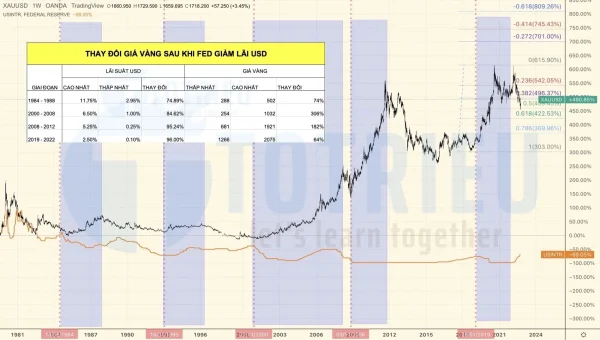 Biểu đồ kỹ thuật tương quan giá Vàng và lãi suất USD
