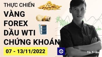 Giá Vàng tuần này - Xu hướng Forex - Giá dầu - Chứng khoán cơ sở tuần 45-2022 (07 - 13/11)