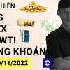 Giá Vàng tuần này - Xu hướng Forex - Giá dầu - Chứng khoán cơ sở tuần 46-2022 (14 - 20/11)