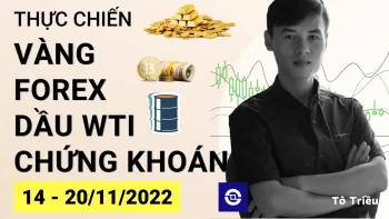 Giá Vàng tuần này - Xu hướng Forex - Giá dầu - Chứng khoán cơ sở tuần 46-2022 (14 - 20/11)