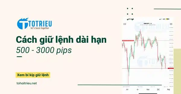 Giữ giao dịch dài hạn: 3 thói quen phải có để hold lệnh 500 - 3000pips