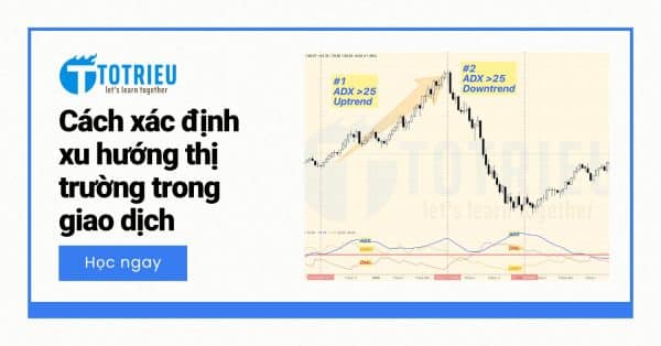 Market Trending - Thị trường có xu hướng là gì? 3 cách xác định xu hướng trong giao dịch