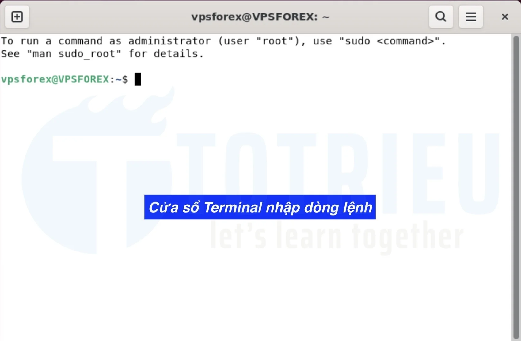 Cửa sổ Terminal trên VPS Ubuntu