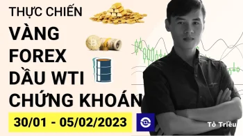 Giá Vàng tuần này - Xu hướng Forex - Giá dầu - Chứng khoán cơ sở tuần 05-2023 (30/01 - 05/02)