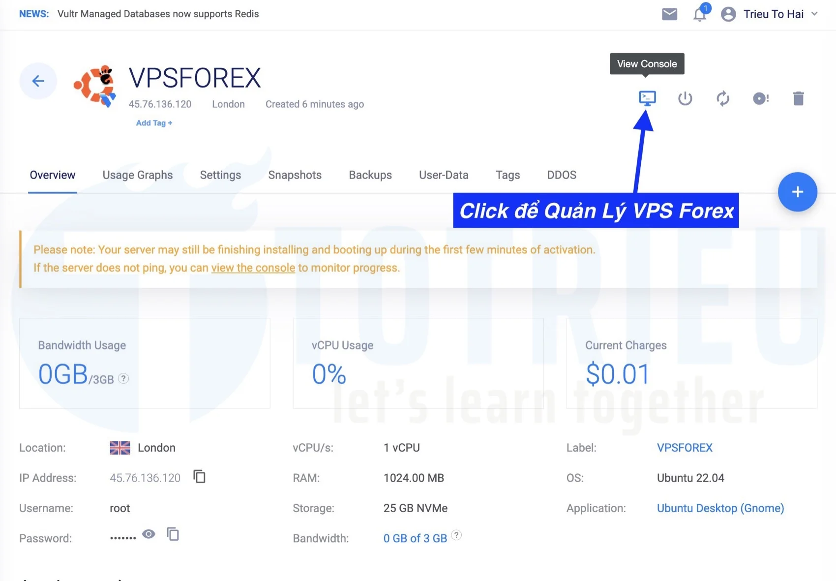 Quản lý VPS Forex chạy Ubuntu bằng Web Console