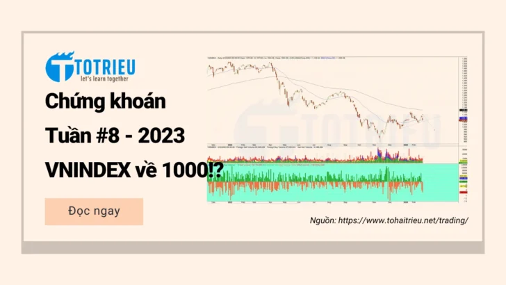 Chứng khoán cơ sở tuần 08-2023: VNINDEX lộ Vai đầu vai