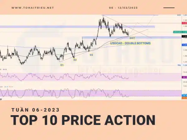 Top 10 Price Action tuần 06-2023 (06 - 12/02)
