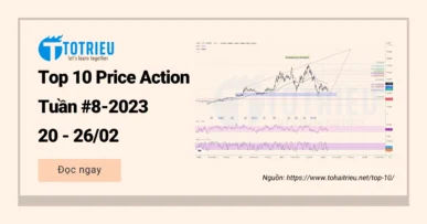 Top 10 Price Action tuần 08-2023 (20 - 26/02)