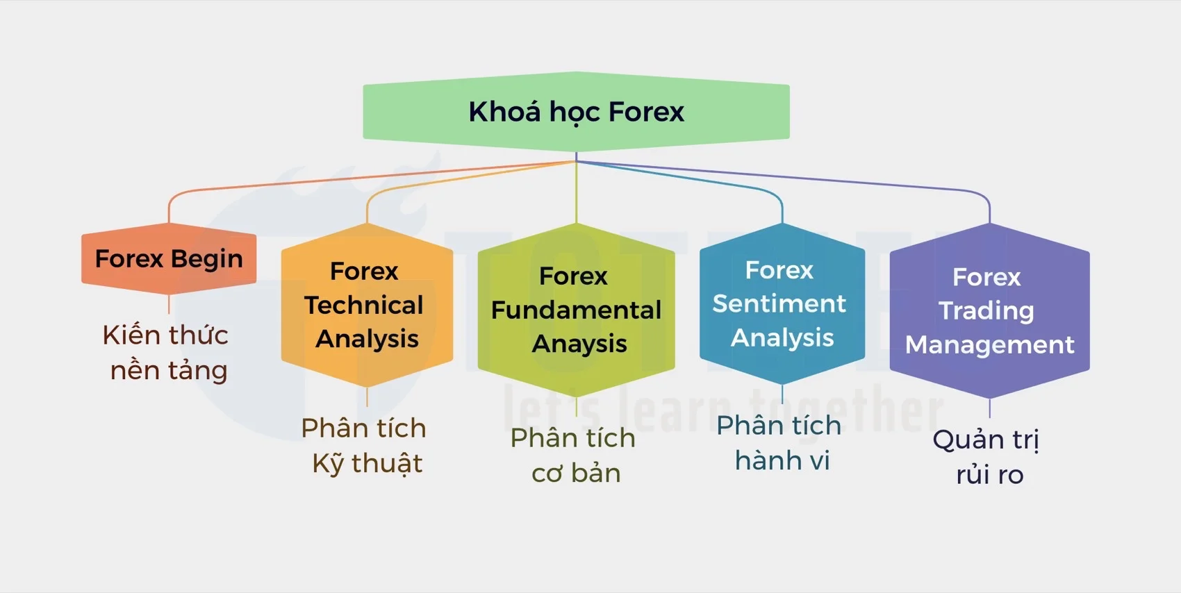 Cấu trúc khoá học Forex từ cơ bản đến chuyên sâu cho người mới