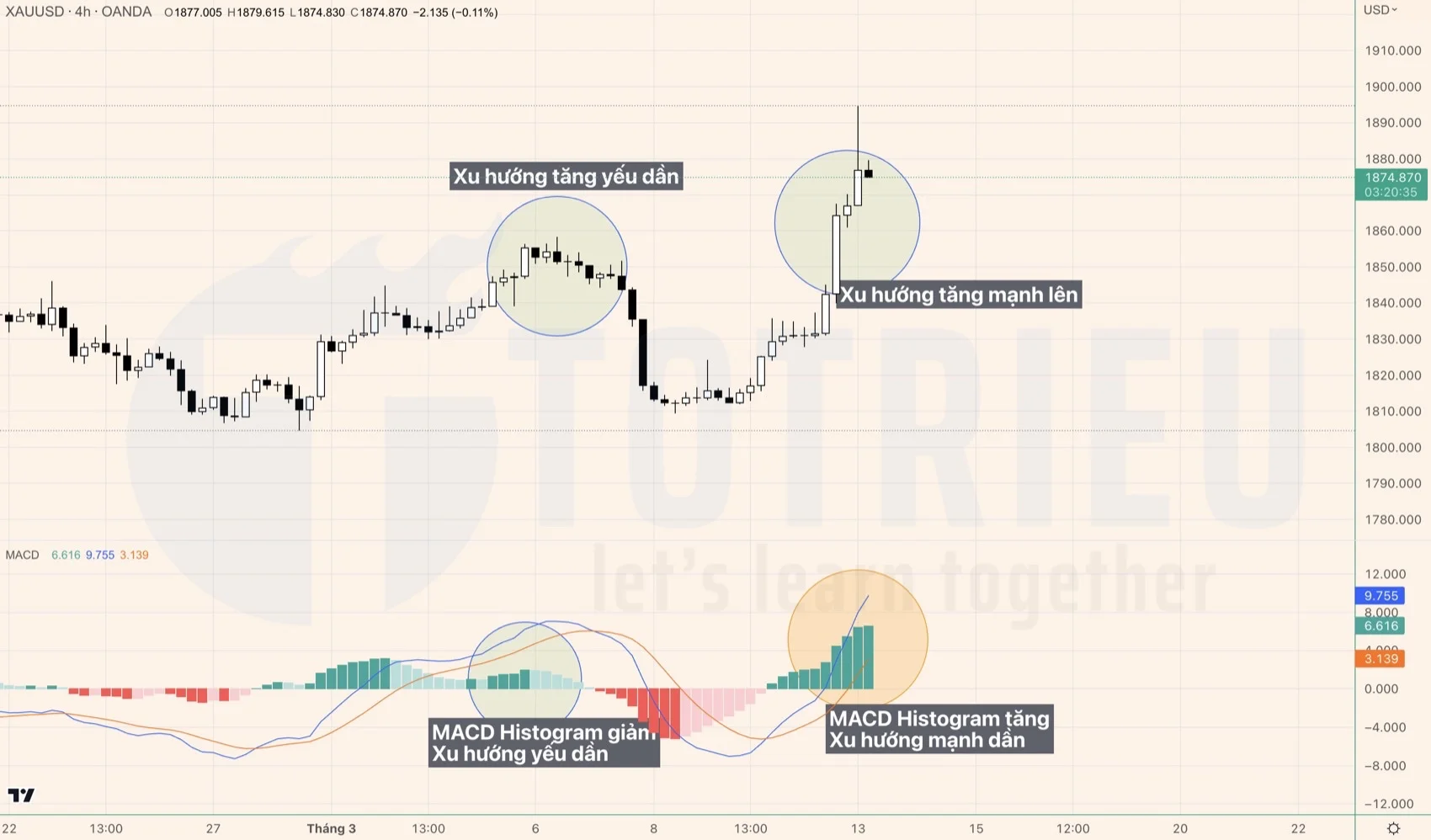 MACD Histogram đo độ mạnh xu hướng thị trường