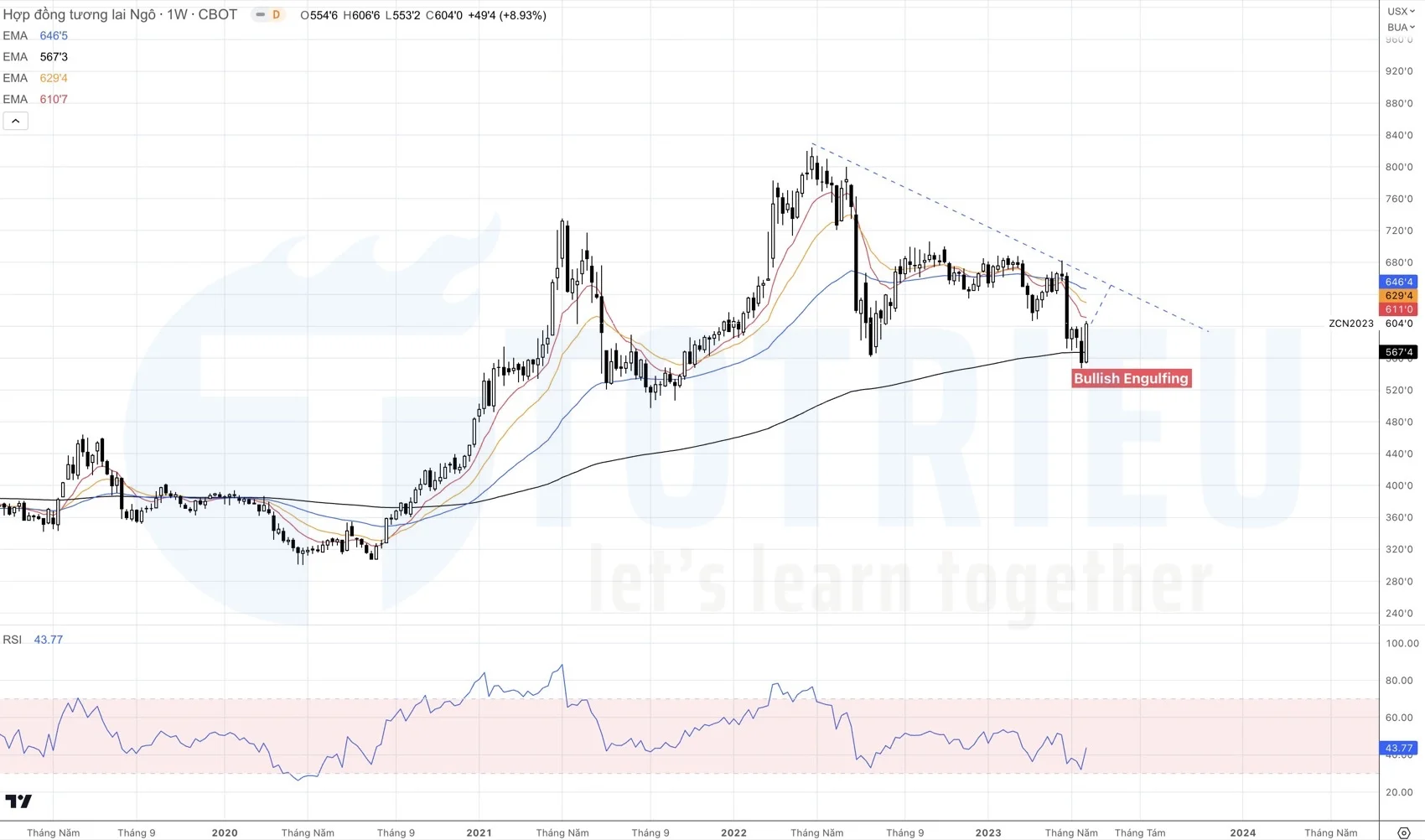 Corn - Ngô tuần 22-2023 có Bullish Engulfing