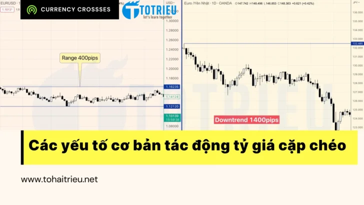 Các yếu tố cơ bản tác động tới tỷ giá cặp chéo EUR và JPY