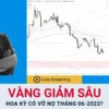 Giá Vàng - Xu hướng Forex tuần 22-2023 (29/05 - 04/06