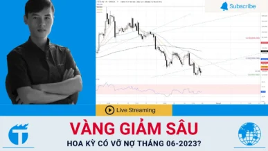 Giá Vàng - Xu hướng Forex tuần 22-2023 (29/05 - 04/06