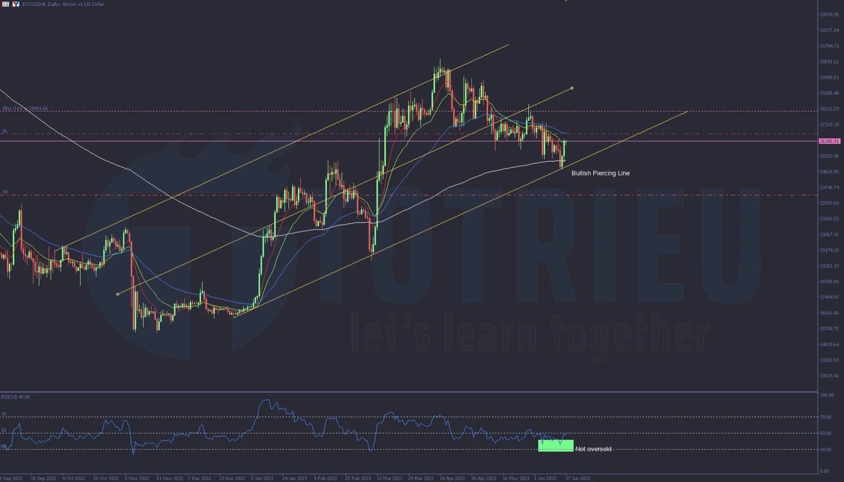 Bitcoin tuần 25-2023 phục hồi từ Hỗ trợ kênh giá tăng