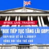 Giá Vàng - Xu hướng Forex - Chứng khoán cơ sở tuần 25-2023 (19 - 25/06)