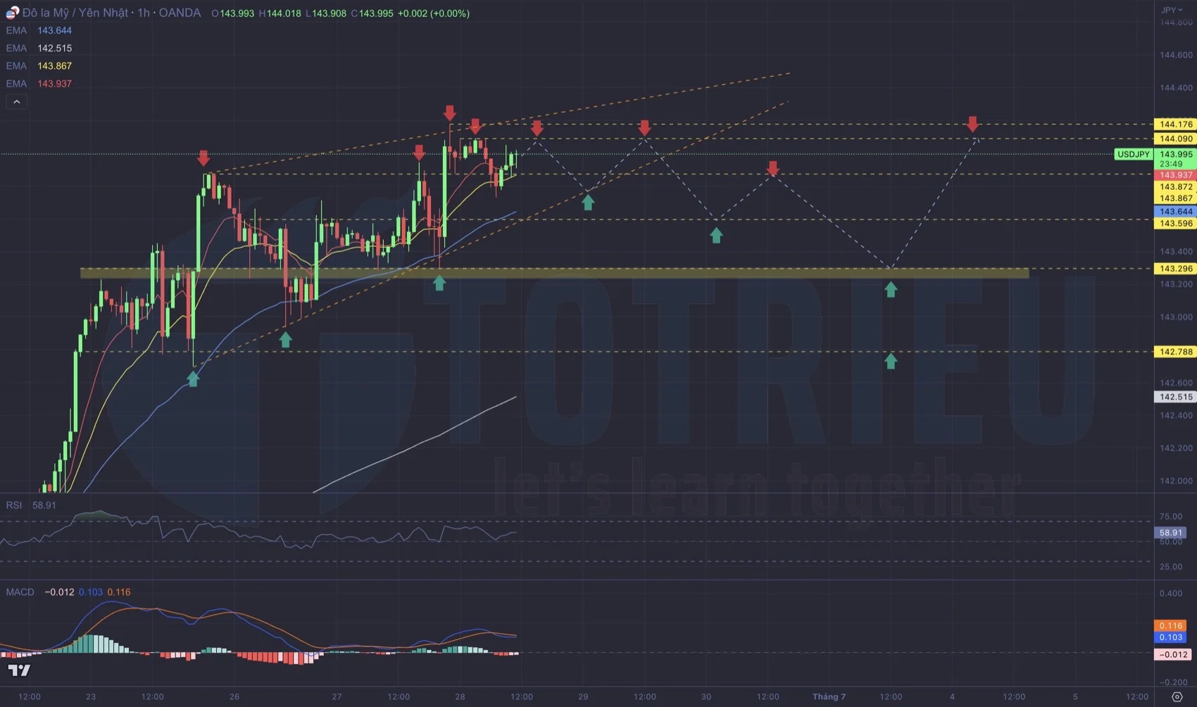 USDJPY ngày 28-06-2023 với Wedge