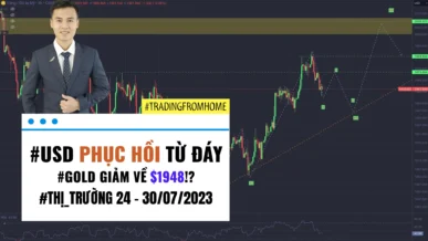 Gold - Forex tuần 30-2023