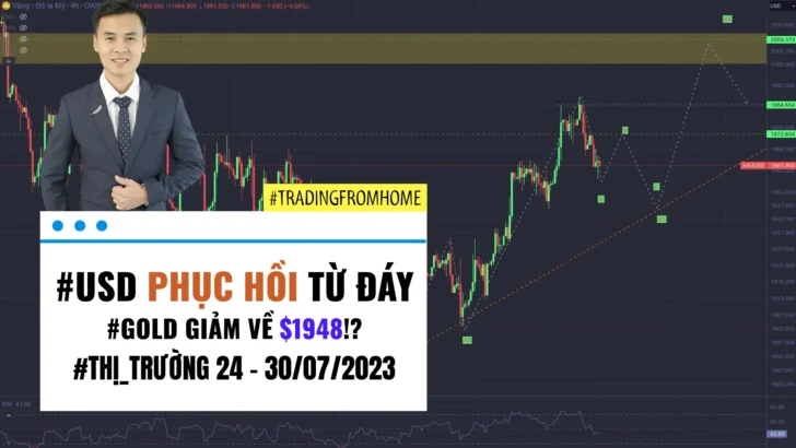Gold - Forex tuần 30-2023