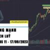 USD tăng mạnh - Vàng tích luỹ - Thị trường tuần 37 - 2023 (11 - 17/09)