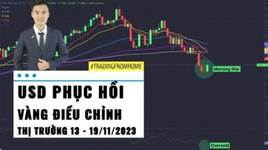 USD Phục Hồi - Gold điều chỉnh - Thị trường tuần 45 - 2023 (13 - 19/11)