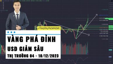 Gold phá đỉnh lịch sử - USD giảm sâu trước Nonfarm - Thị trường tuần 49 - 2023 (04 - 10/12)