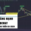 Gold tuần này - Xu hướng Forex - Dự báo Giá dầu WTI - Phân tích Bitcoin tuần 03-2024 (15 - 21/01)