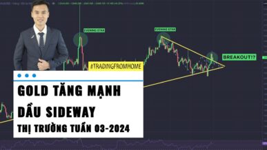 Gold tuần này - Xu hướng Forex - Dự báo Giá dầu WTI - Phân tích Bitcoin tuần 03-2024 (15 - 21/01)