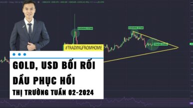 Gold tuần này - Xu hướng Forex - Dự báo Giá dầu WTI - Phân tích Bitcoin tuần 02-2024 (08 - 14/01)