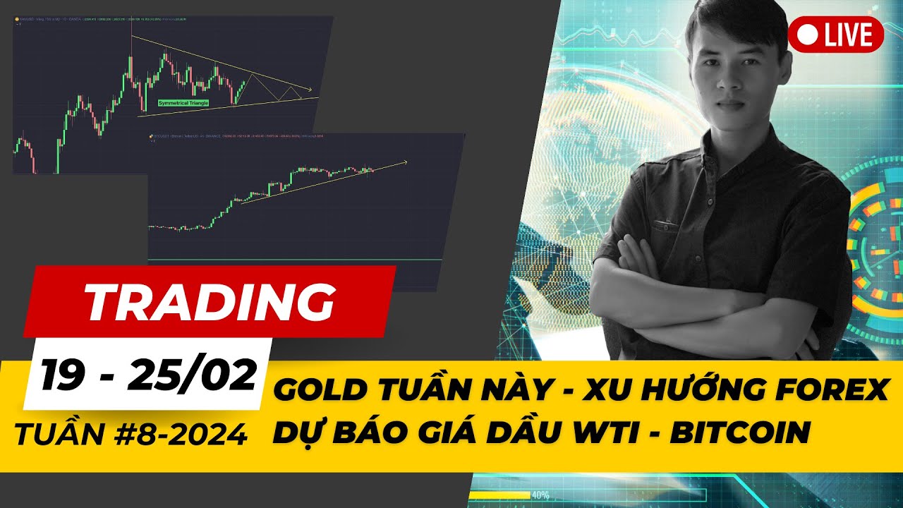 Gold tuần này – Xu hướng Forex – Dự báo Giá dầu WTI – Phân tích Bitcoin tuần 08-2024 (19 – 25/02)
