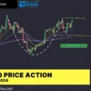 Top 10 Price Action Forex, Commodities, Crypto tuần 08-2024 (19 - 25/02)