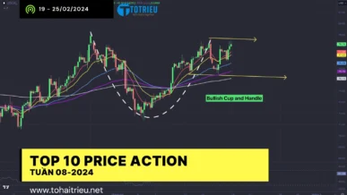 Top 10 Price Action Forex, Commodities, Crypto tuần 08-2024 (19 - 25/02)