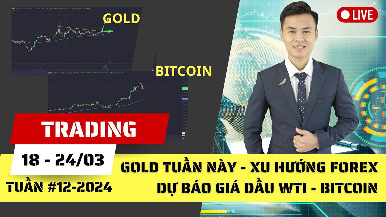 Gold tuần này - Xu hướng Forex - Dự báo Giá dầu WTI - Phân tích Bitcoin tuần 12-2024 (18 - 24/03)