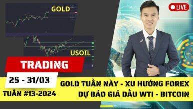 Gold tuần này - Xu hướng Forex - Dự báo Giá dầu WTI - Phân tích Bitcoin tuần 13-2024 (25 - 31/03)