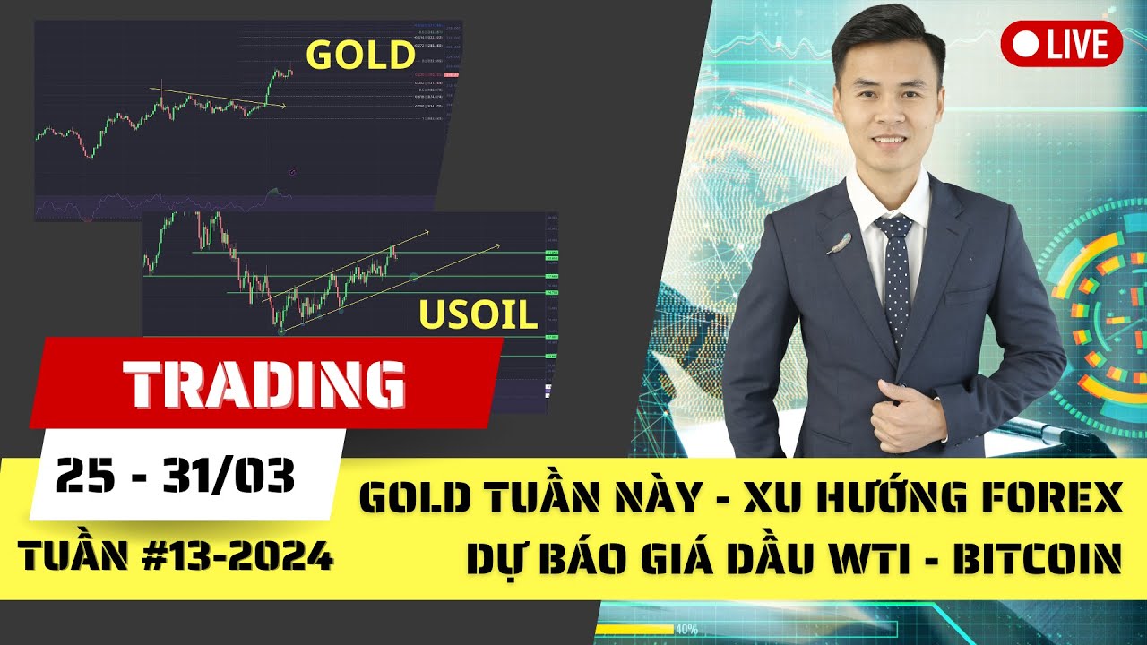Gold tuần này - Xu hướng Forex - Dự báo Giá dầu WTI - Phân tích Bitcoin tuần 13-2024 (25 - 31/03)