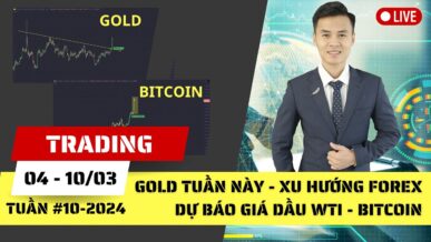 Gold tuần này - Xu hướng Forex - Dự báo Giá dầu WTI - Phân tích Bitcoin tuần 10-2024 (04 - 10/03)