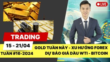 Gold tuần này - Xu hướng Forex - Dự báo Giá dầu WTI - Phân tích Bitcoin tuần 16-2024 (15 - 21/04)