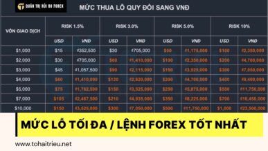 Một lệnh giao dịch Forex chỉ nên lỗ tối đa 1.5% tài khoản Traders Việt Nam