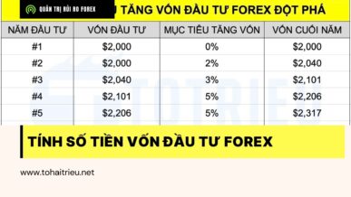 Người mới cần bao nhiêu tiền vốn cho giao dịch Forex?