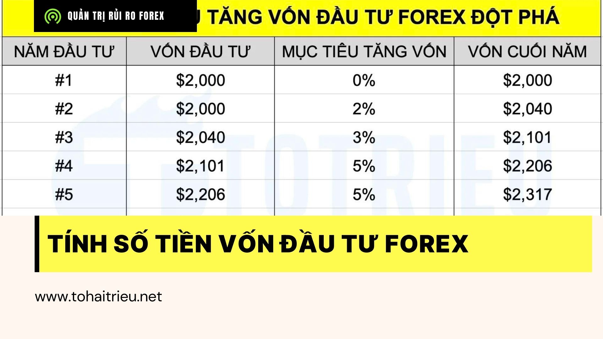 Người mới cần bao nhiêu tiền vốn đầu tư giao dịch Forex?