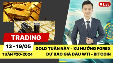 Gold tuần này – Xu hướng Forex – Dự báo Giá dầu WTI – Phân tích Bitcoin tuần 20-2024 (13 – 19/05)